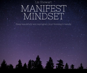 Manifest Mindset audio cover art Liz Stewart
